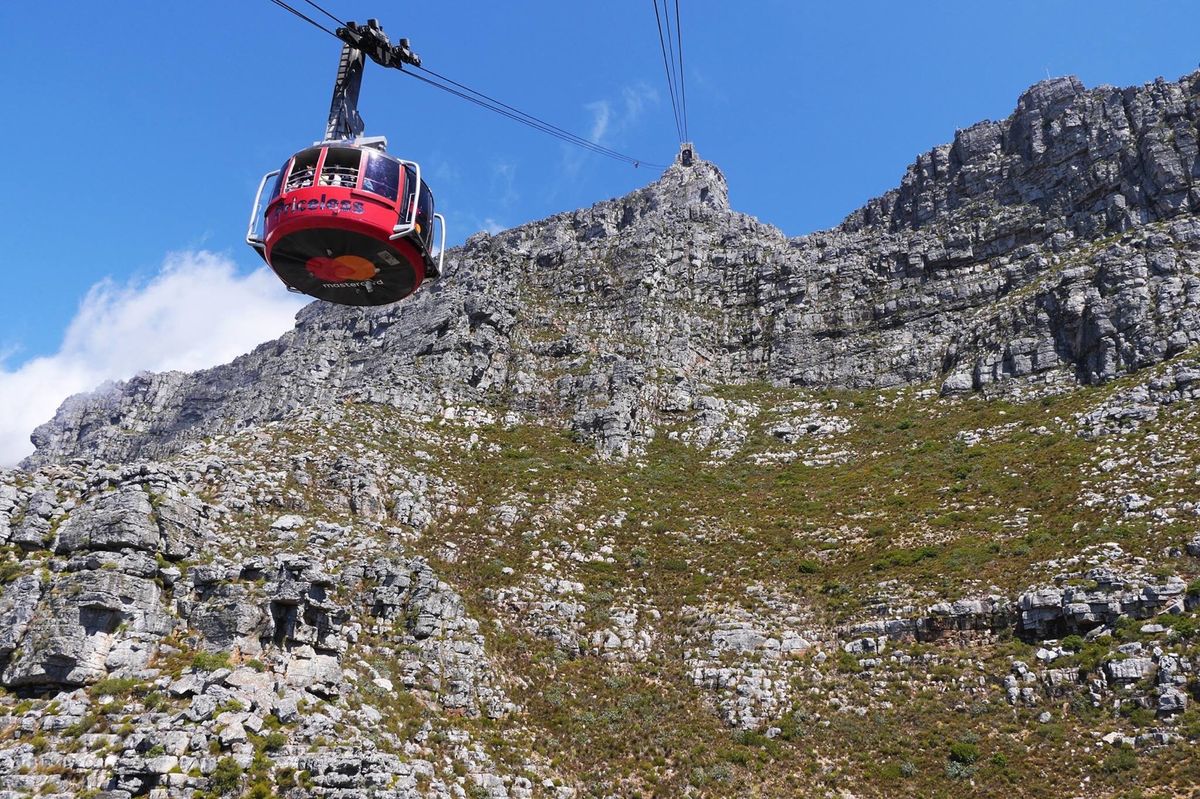 ケープタウンのテーブルマウンテンが綺麗すぎる！
体力と時間ある人は歩いて登...