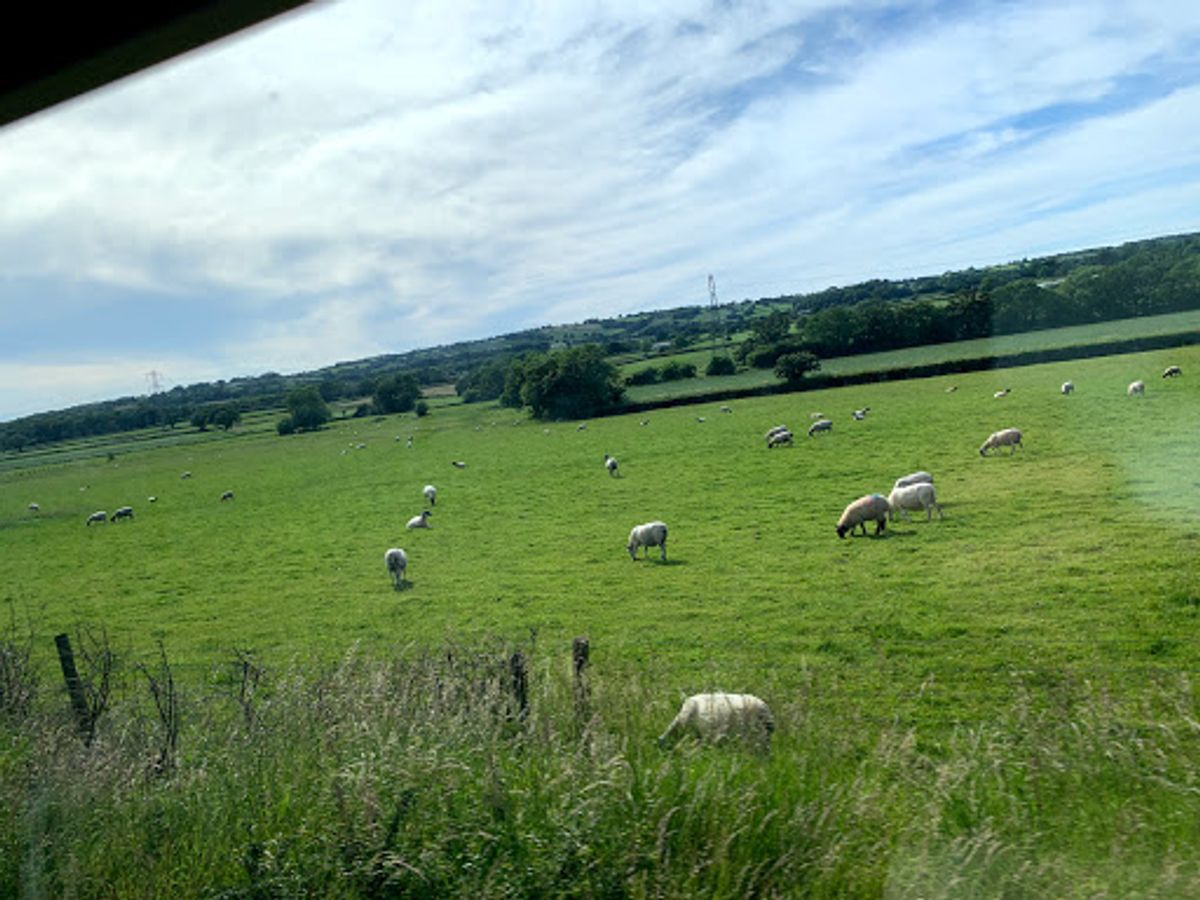 さようならエクセター。
駅にある売店でOasisというジュースとノエルギ...