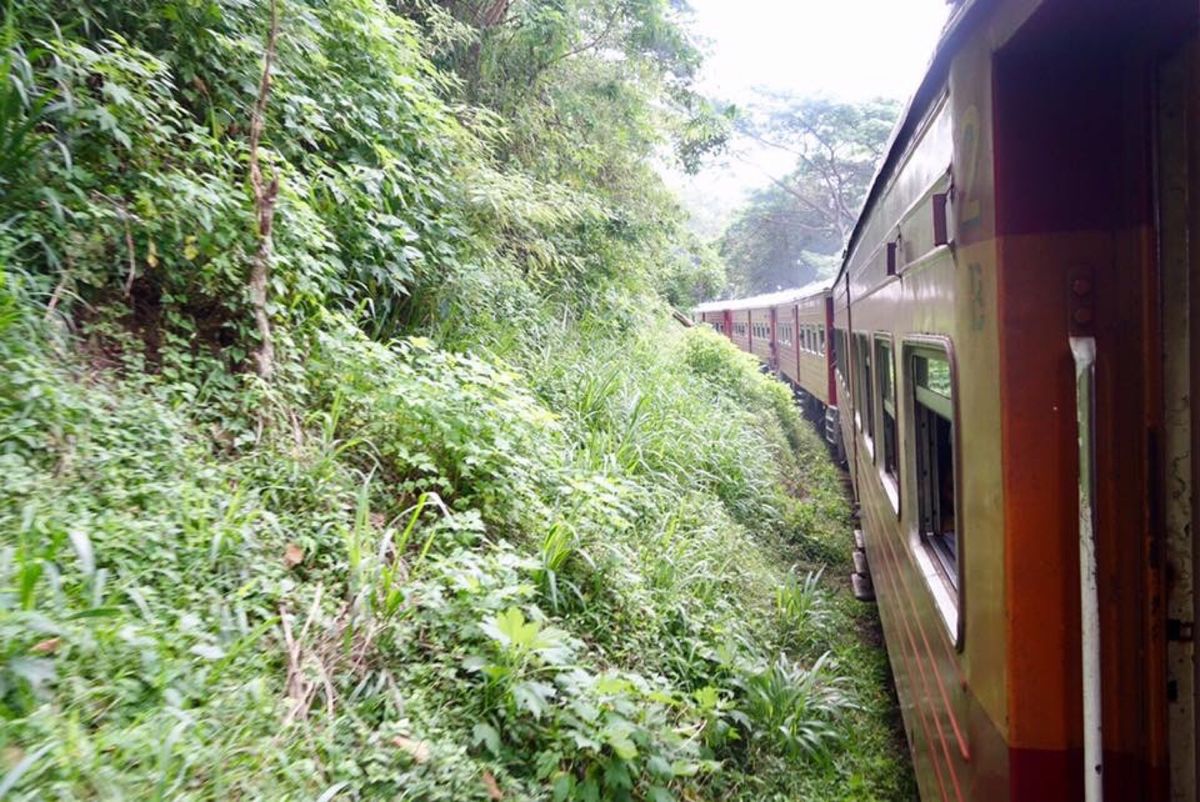 スリランカ１日目。
前日夜中にコロンボ着。
朝一番の汽車でキャンディに。