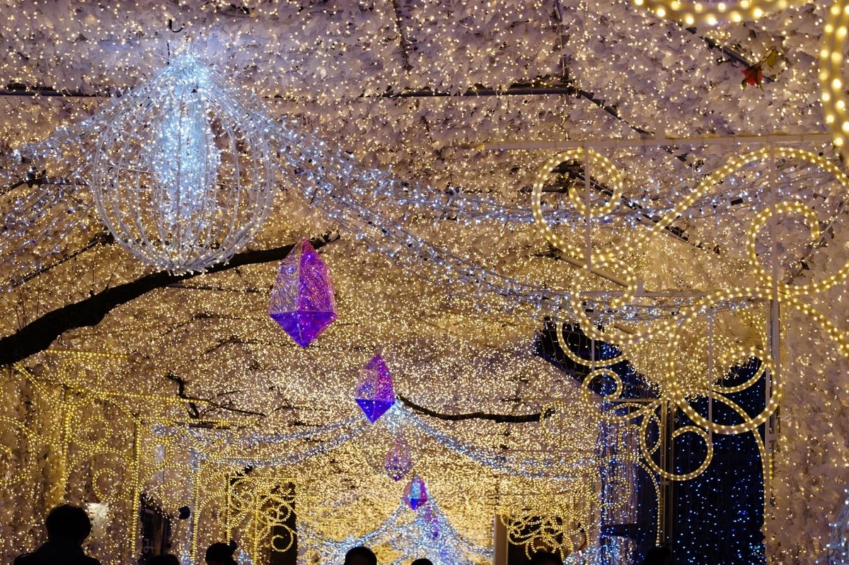 時之栖イルミネーション
【ひかりのすみか】