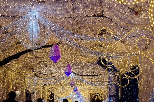 日本・静岡県「山梨❖静岡旅」の写真:時之栖イルミネーション
【ひかりのすみか】