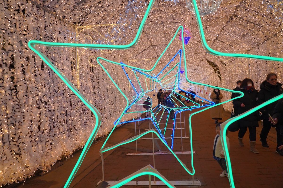 時之栖イルミネーション
【ひかりのすみか】