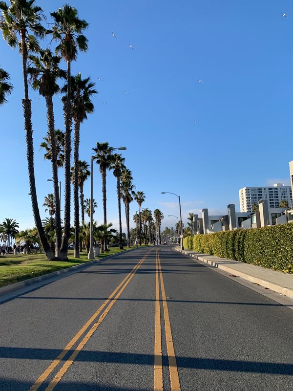 アメリカ(米国)・ロサンゼルス「🇺🇸アメリカ・ロサンゼルス」の写真：day3 - Venice &amp; Sant...