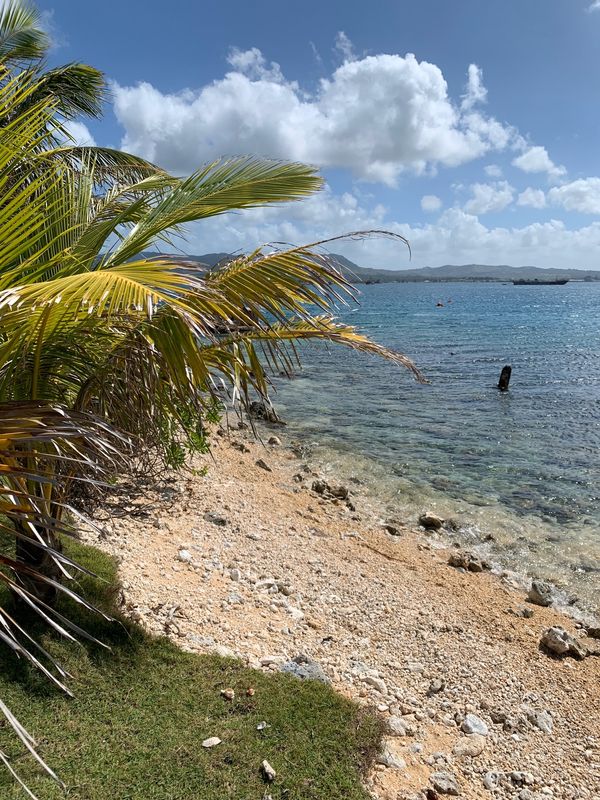 グアム「🇬🇺グアム」の写真：day2 activity