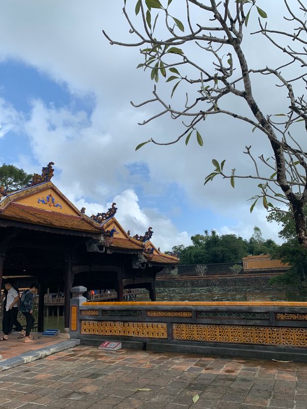 ベトナム・ダナン「🇻🇳ベトナム・ダナン」の写真