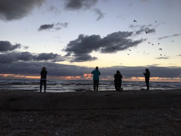 南アフリカ・ケープタウン「ペンギン調査に参加！」の写真：この日は調査が終わった後に
みんなで夕陽...