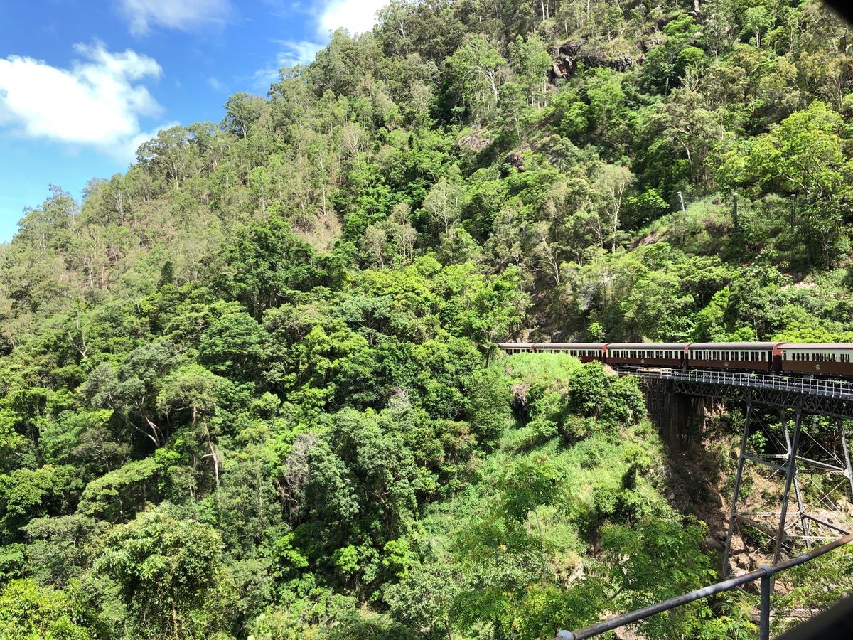 Skyrailとキュランダ鉄道

緑に囲まれてリフレッシュ🌿
