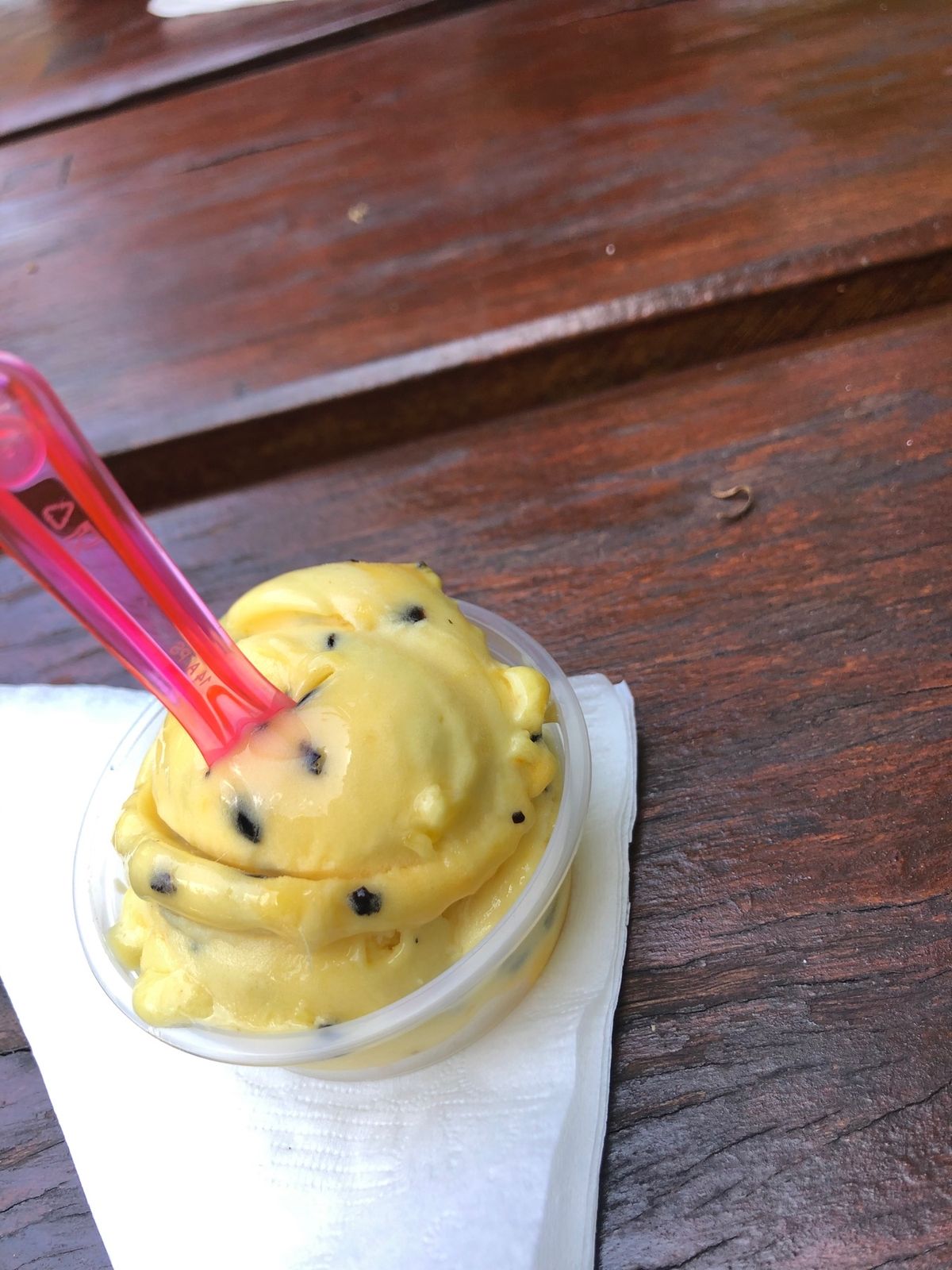 コアラがこんなに可愛いなんて‪‪❤︎‬
もうメロメロ( *ˊᵕˋ)‪‪❤︎...