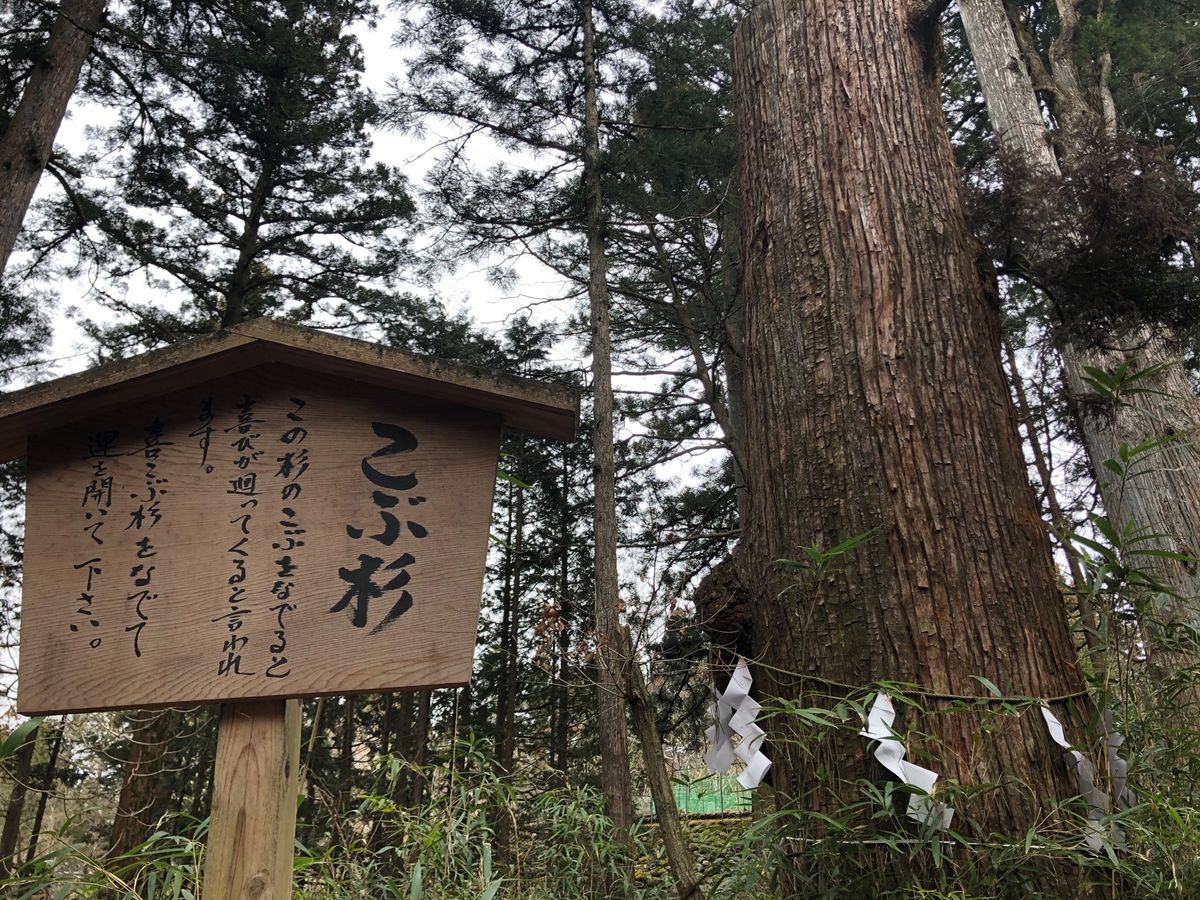 輪王寺に行く前に本宮神社へ。輪王寺からこんなに近いのに参拝は初めて。