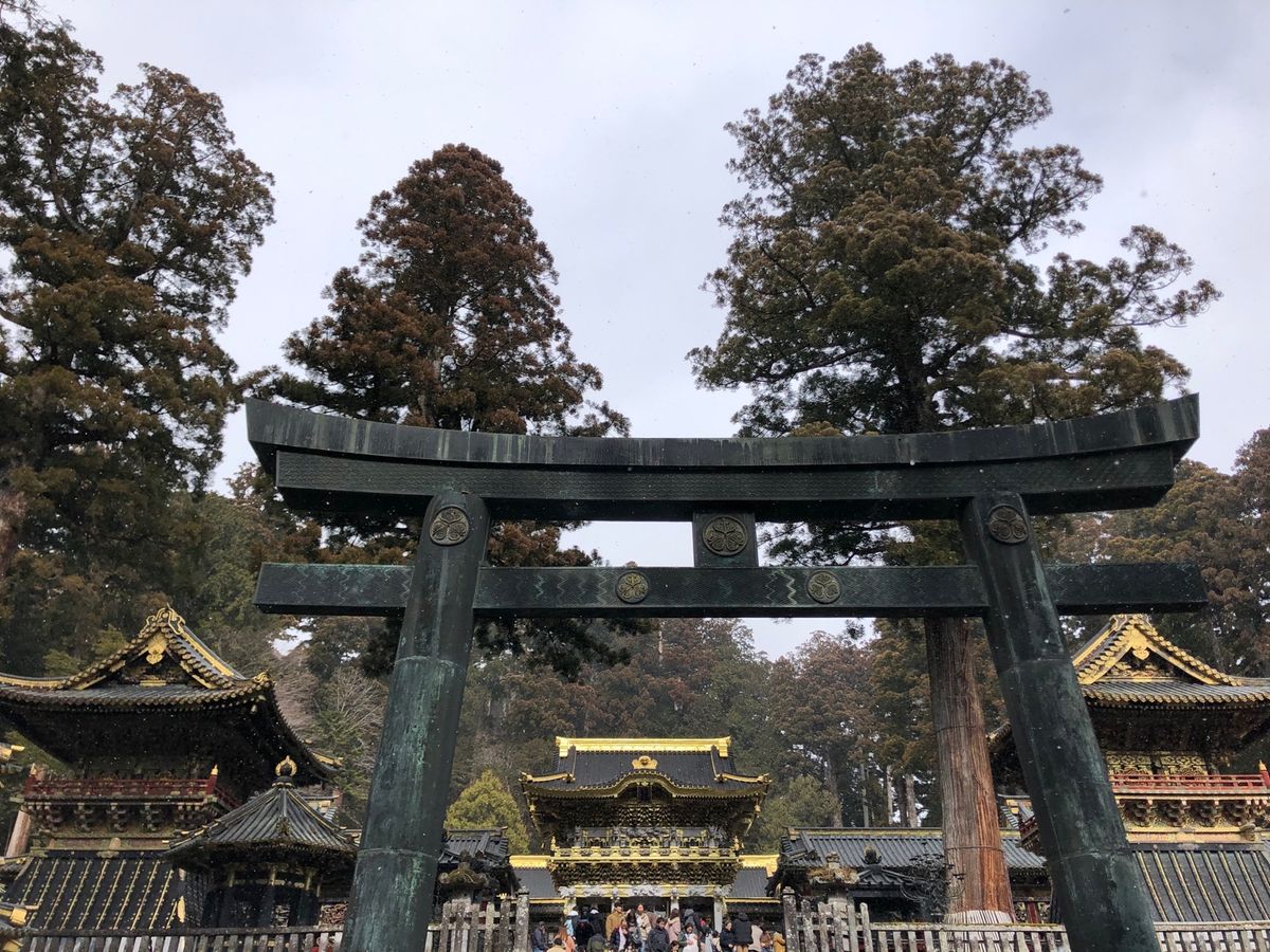 輪王寺、東照宮、二荒山神社はマスト。なんでだろう…ホントに好き。
