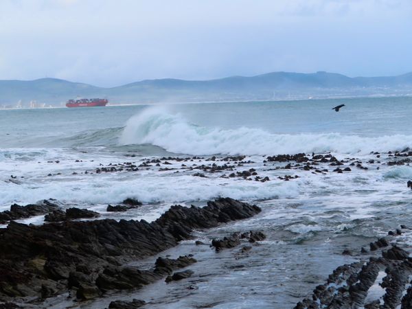 南アフリカ・ケープタウン「ペンギン調査に参加！」の写真：この日のロベン島の波は大荒れ
普通に数メ...
