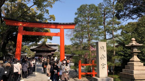 日本・京都府「京都・梅の旅」の写真：京都の梅の名所の一つ城南宮