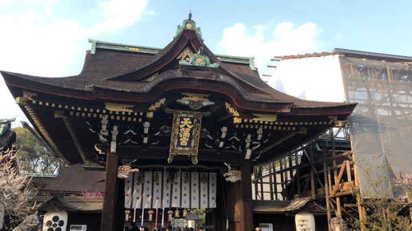 日本・京都府「京都・梅の旅」の写真：京都の梅というとやはり北野天満宮が一番か...