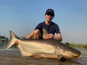 巨大淡水魚がいる釣り堀new bungsamran。炎天下の下で熱中症にな...