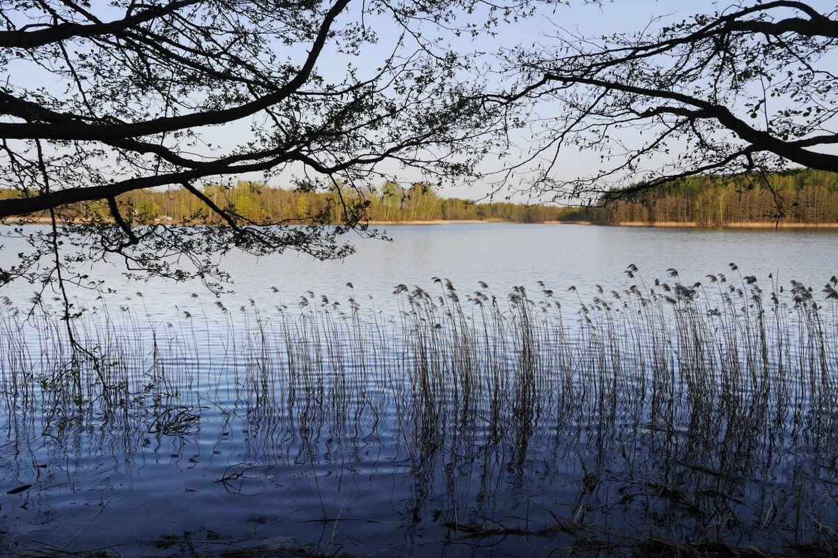 リトアニアの首都ビリニュスからバスで1時間ほど。
トラカイ湖に浮かぶトラカ...