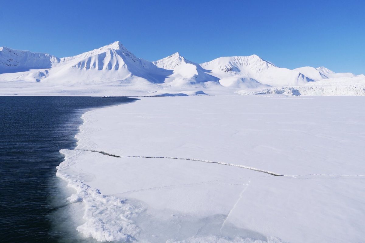 スヴァールバル諸島でのクルージングツアー
4月末では 動物は見られず
ホッ...