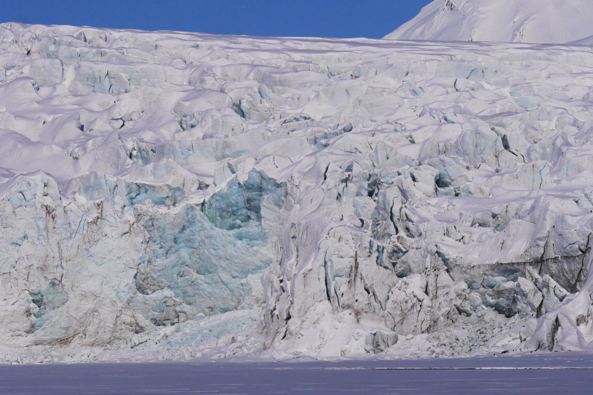 スヴァールバル諸島でのクルージングツアー
4月末では 動物は見られず
ホッ...