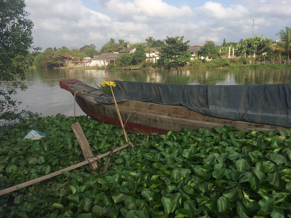 テト5日目、Cần Thơへ