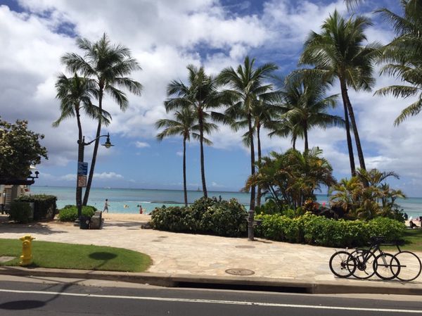 アメリカ(米国)・ハワイ  ホノルル、ダイヤモンドヘッド「ハワイ🌴3回目」の写真：ホノルル着いたーー！！