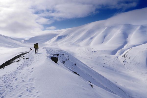 スヴァールバル及びヤンマイエン・Svalbard「バルト三国と北極圏 (スヴァールバル諸島)」の写真：マジでキツかった氷河トレッキング。
雪が...