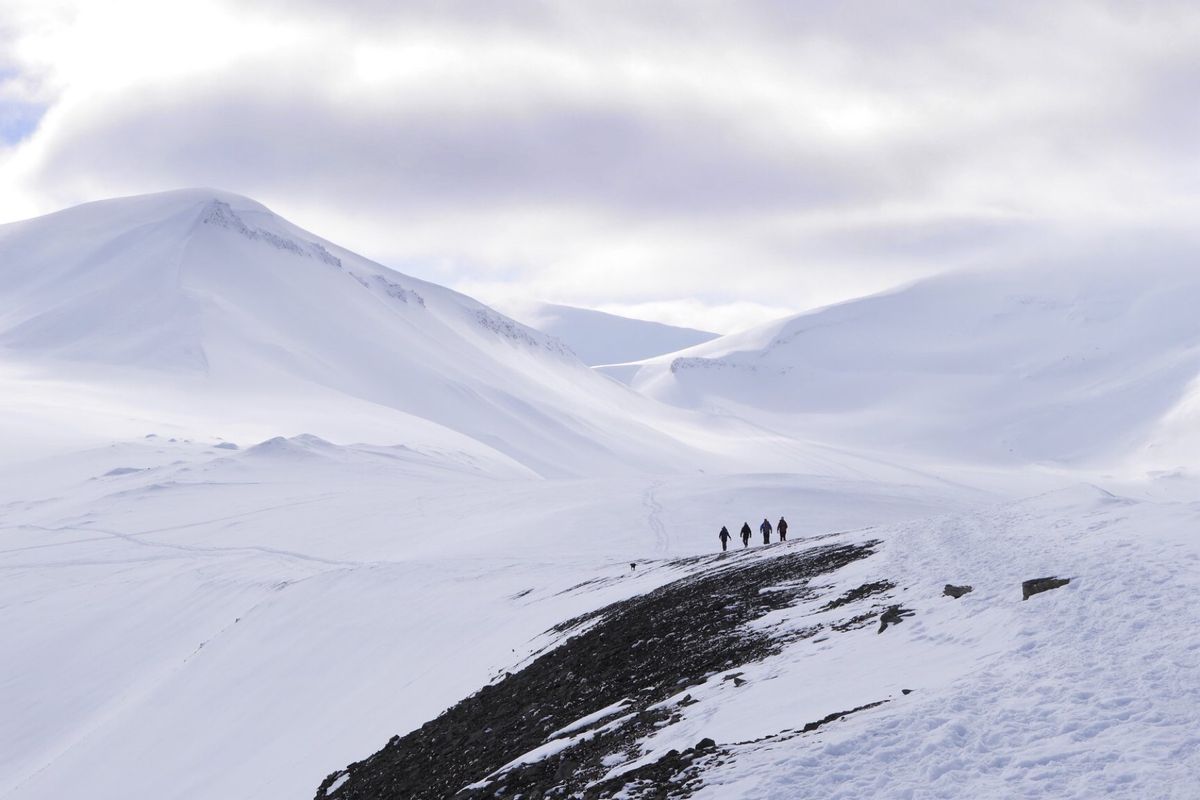マジでキツかった氷河トレッキング。
雪が積もっていて氷河って感じはなかった...