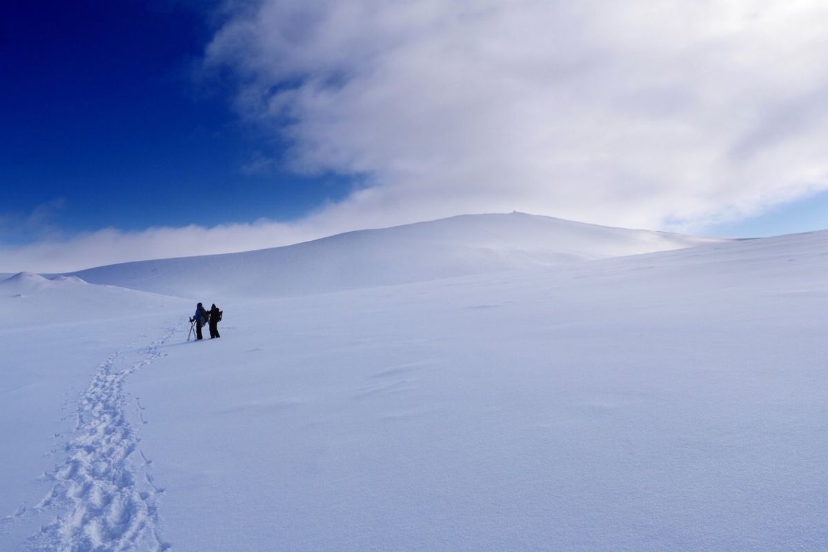 マジでキツかった氷河トレッキング。
雪が積もっていて氷河って感じはなかった...