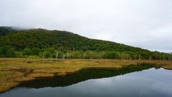 日本・尾瀬「2016/10 Oze」の写真
