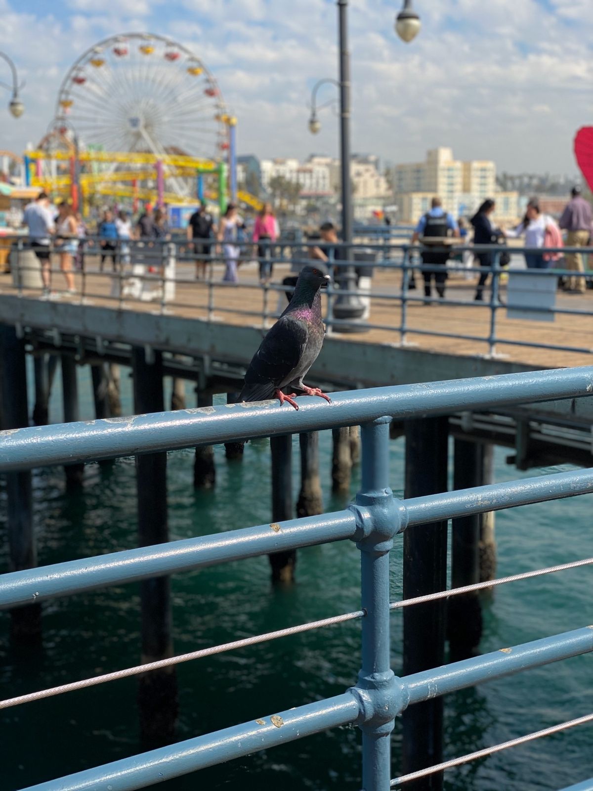 ロスといえば、サンタモニカ、ベニスビーチ⛱
賑わってました