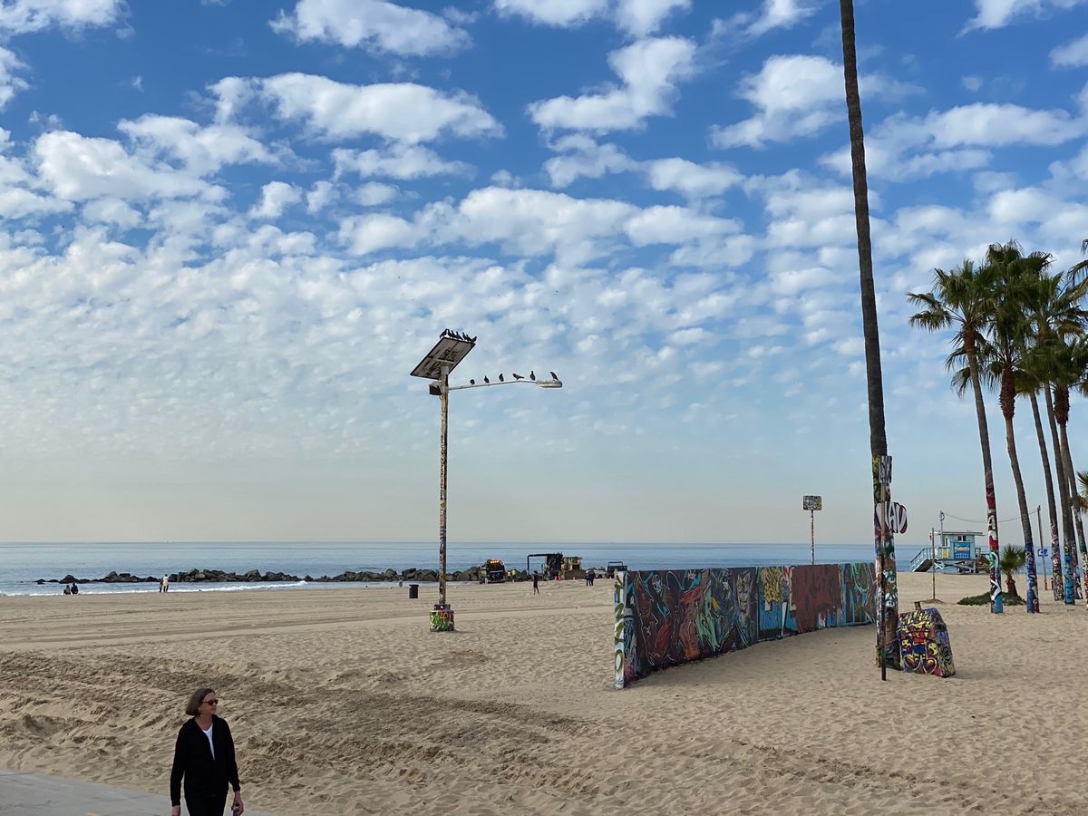 ロスではuberの貸してるチャリや電動キックボードで快適に移動できます。乗...