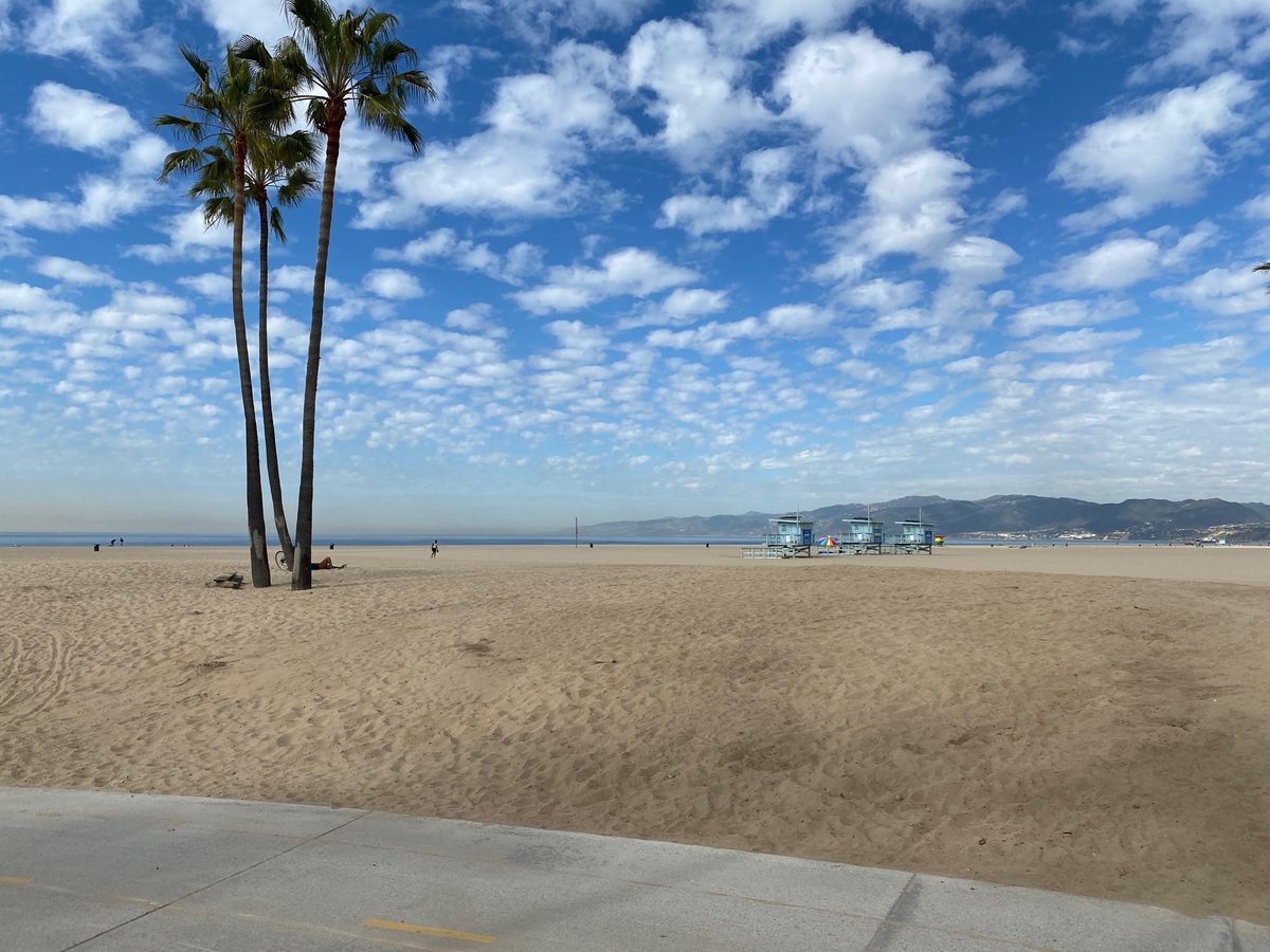 ロスではuberの貸してるチャリや電動キックボードで快適に移動できます。乗...