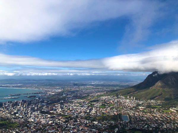 南アフリカ・ケープタウン「ペンギン調査に参加！」の写真：ライオンズヘッドからの景色⛰
スニーカー...