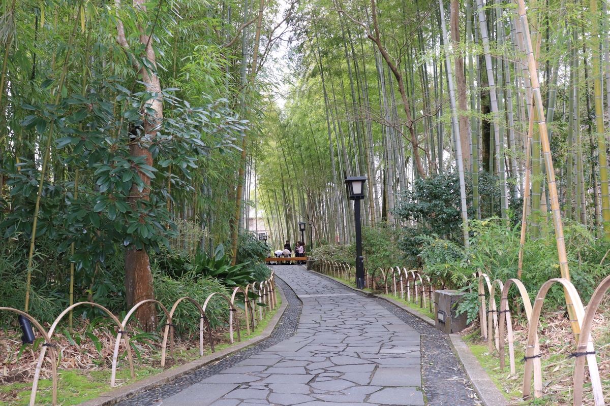 修禅寺の桜と竹林の小径