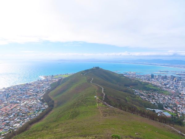 南アフリカ・ケープタウン「ペンギン調査に参加！」の写真：ライオンズヘッドの頂上を目指す　
まだ「...
