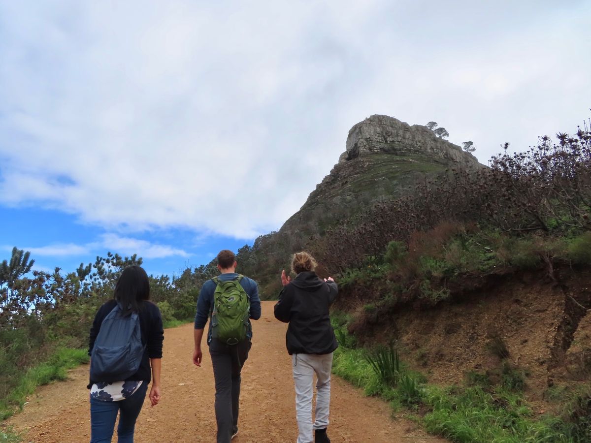 ライオンズヘッドの頂上を目指す　
まだ「ハイキング」だったときの景色
すで...