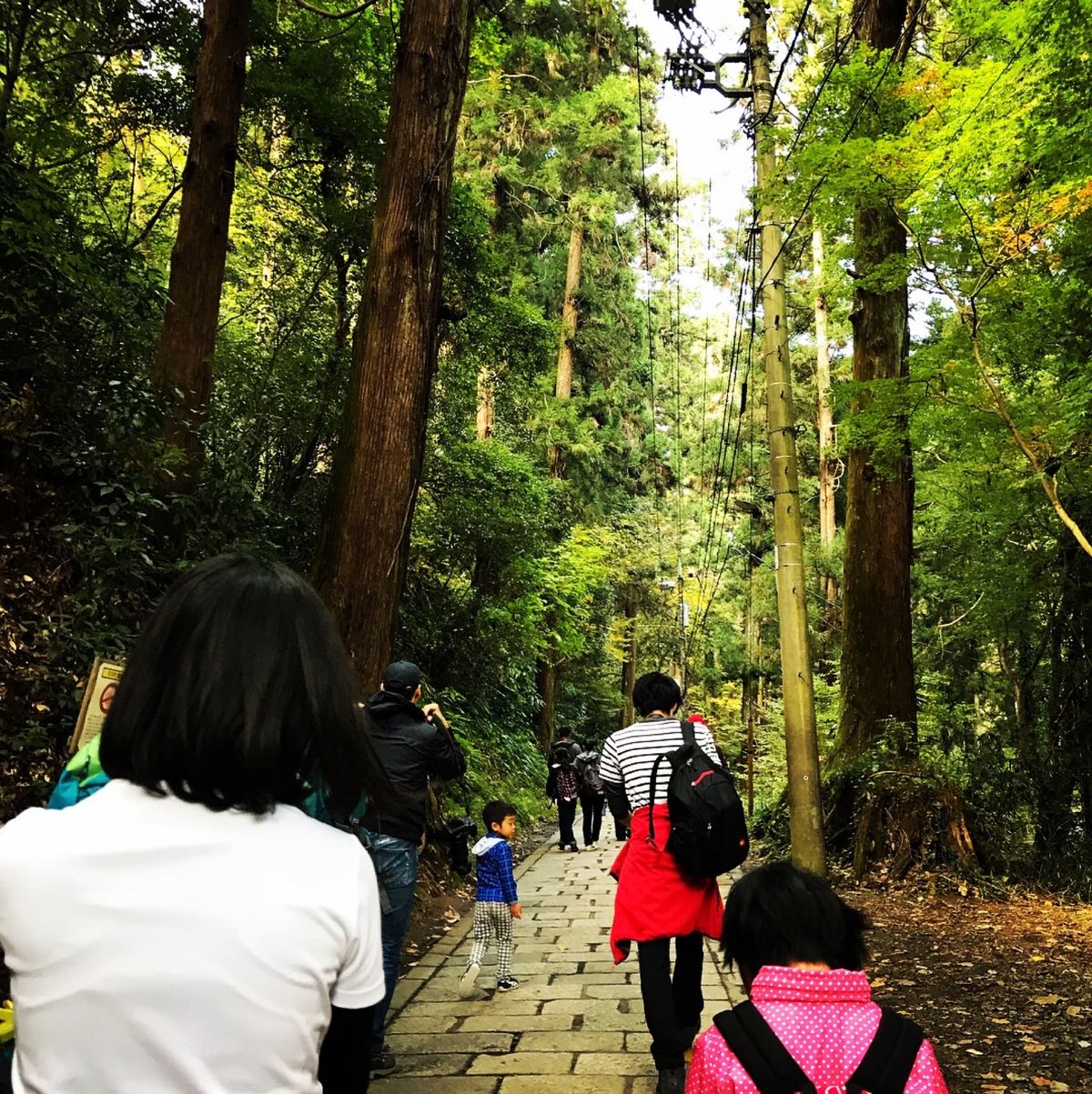 高尾山でトレッキング🥾
天気も良くて紅葉が光ってたよー🍁