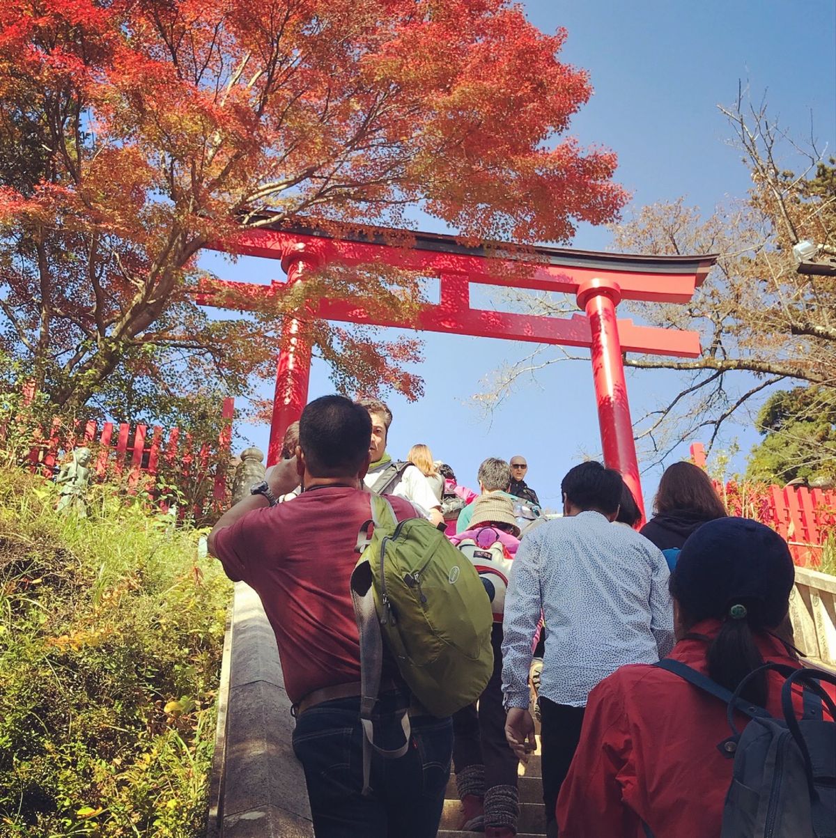 高尾山でトレッキング🥾
天気も良くて紅葉が光ってたよー🍁