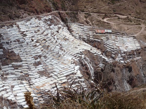 ペルー・マチュピチュ「ペルー」の写真：1.2マラスの塩田。目が痛いほど白い塩田...