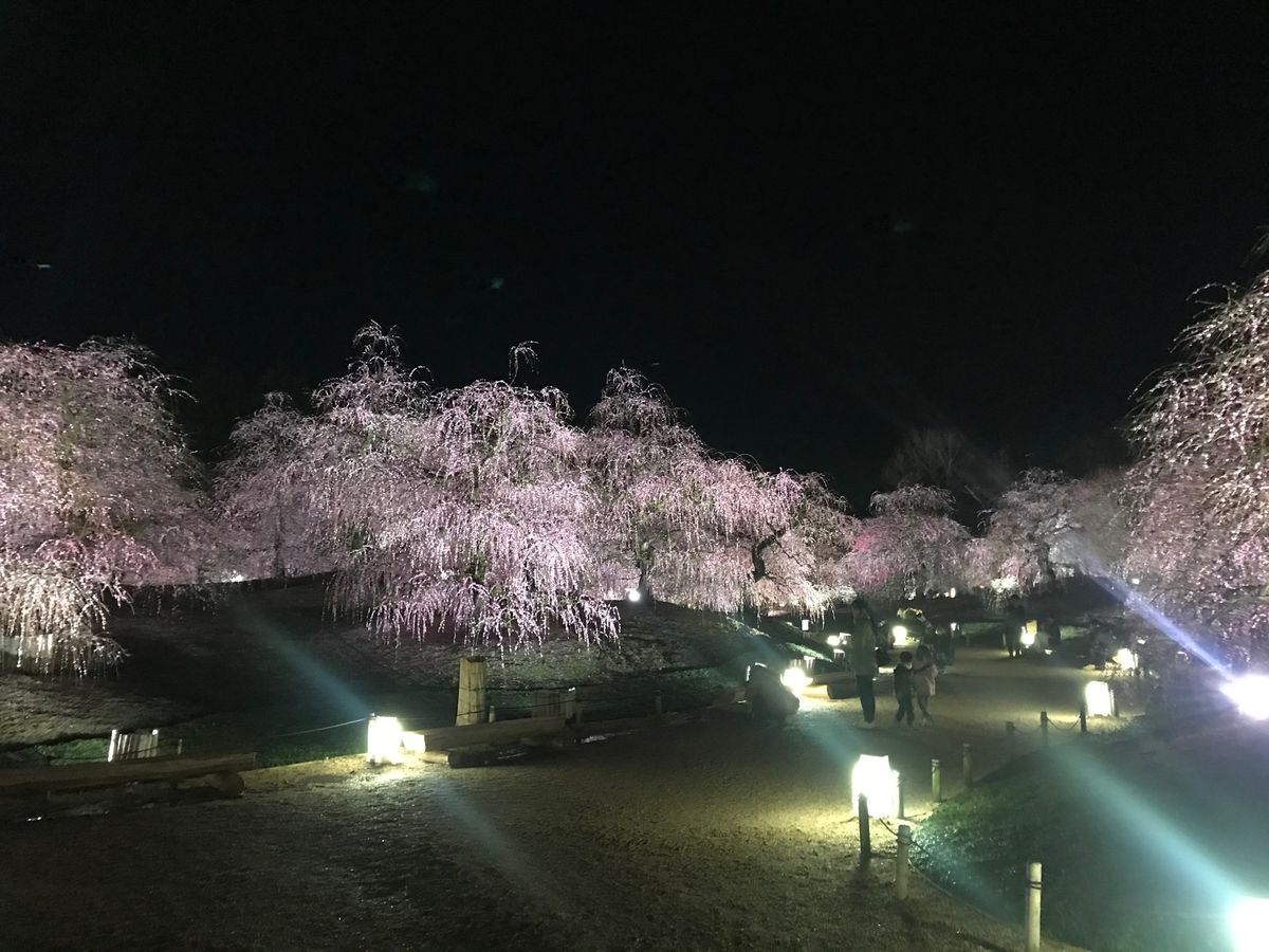 結構みんな一眼レフとか三脚持参で本格的に撮影している人が多かったなぁ😌