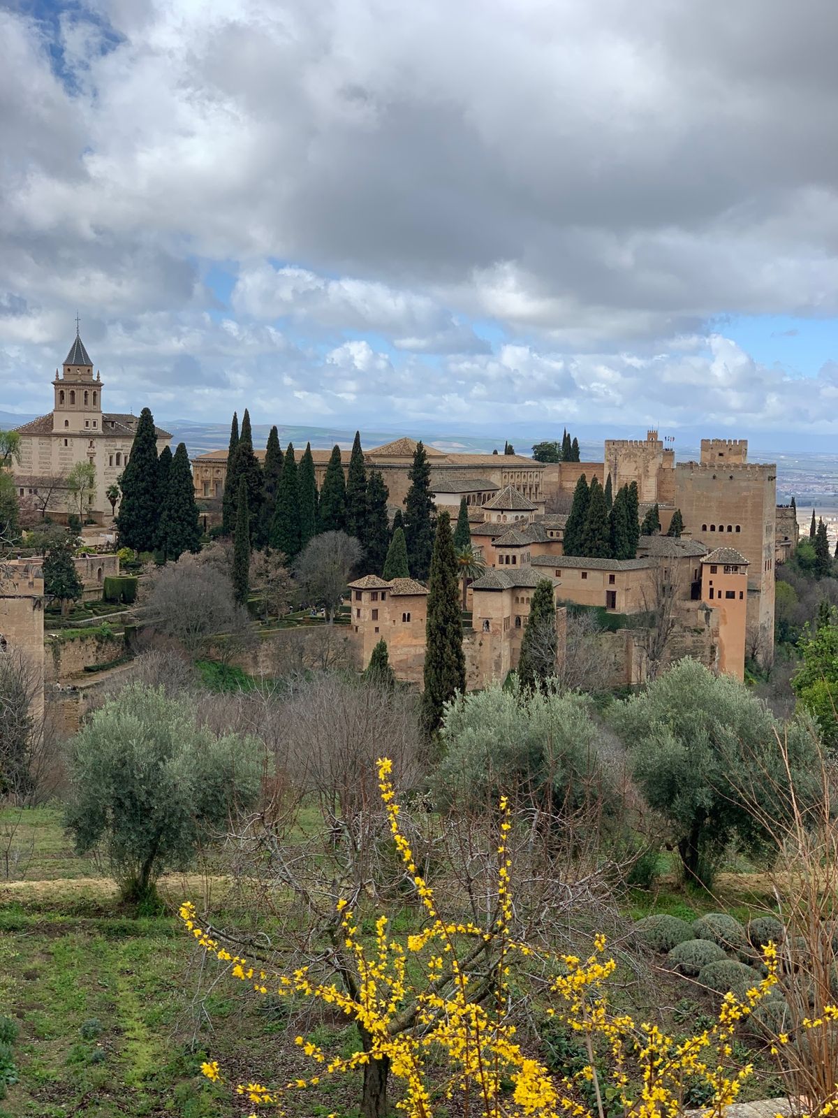 サグラダファミリア
アルハンブラ宮殿
マドリード王宮
ピンチョス