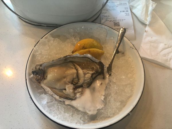 南アフリカ・ケープタウン「ペンギン調査に参加！」の写真：ウォーターフロントにあるフードマーケット...