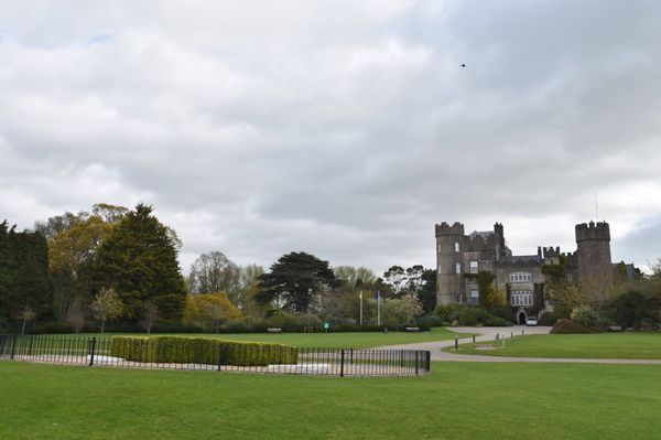 アイルランド・Dublin「2016/5 Ireland」の写真：ダブリン近郊。