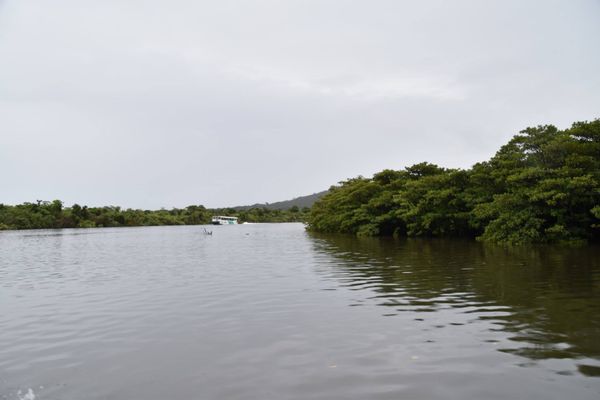 日本・竹富島「2015/7 Okinawa」の写真：西表島