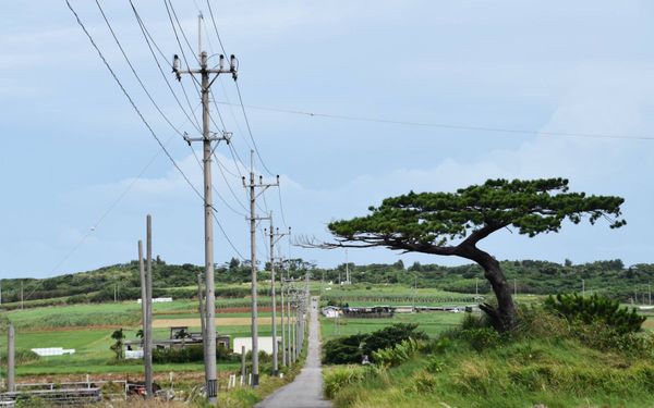 日本・竹富島「2015/7 Okinawa」の写真：小浜島