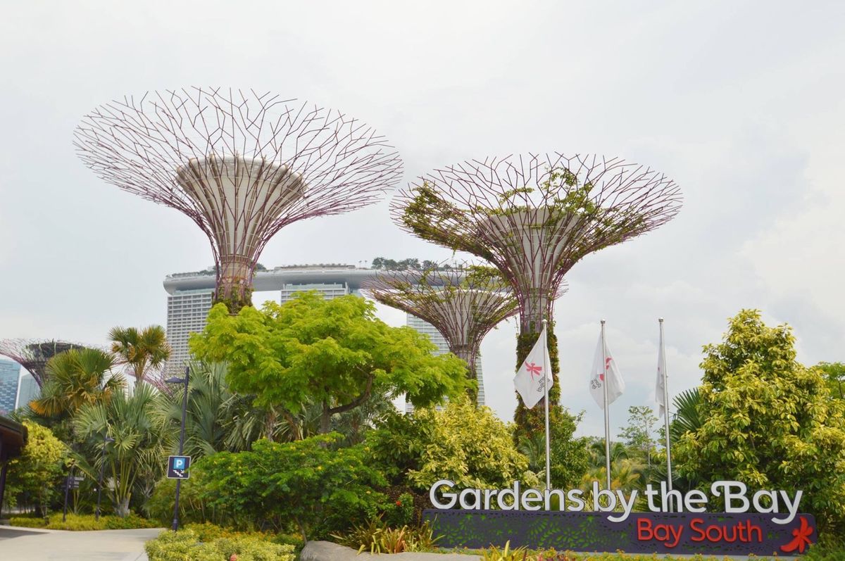 シンガポール③