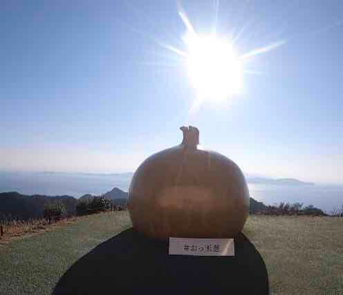 淡路島は玉ねぎでも有名。UFOキャッチャーで玉ねぎ景品とかもありました。玉...