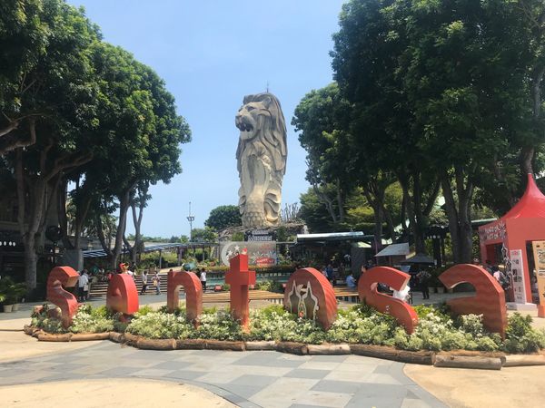シンガポール・マリーナベイサンズ「シンガポール❤️夫婦旅行」の写真：セントーサ島
リュージュという自転車ソリ...